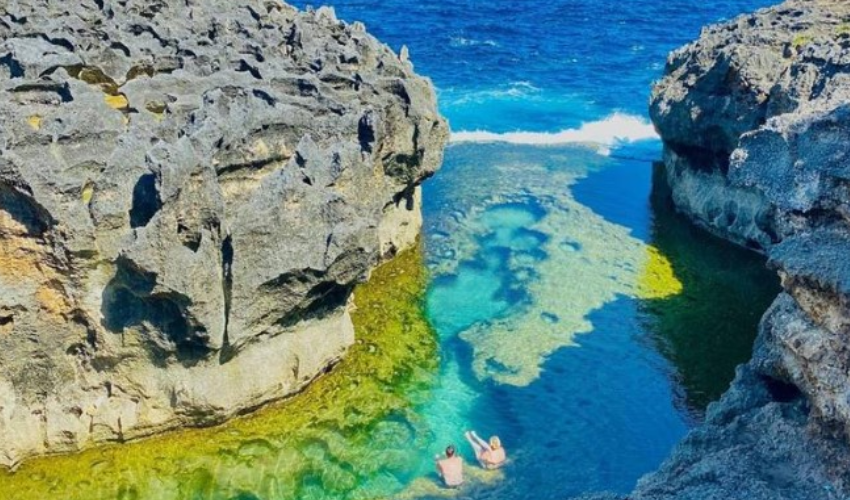 누사페니다1 image